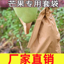 云南芒果双层套袋芒果专用带刀把凯特芒专用果袋防雨防虫防果蝇袋