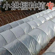 lr͸ϱĤNСĤrĤϼصĤ