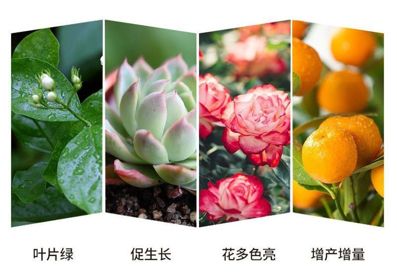 80a5d1ab-30a5-4549-baa7-03e5ac325f4a.jpe