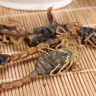 ��ș��ȫϐ�F؛���l�S��ȫ�x��ϐ�ӵ��}�ɴ��l�ɴ�ĥ�۸ɶȺ�