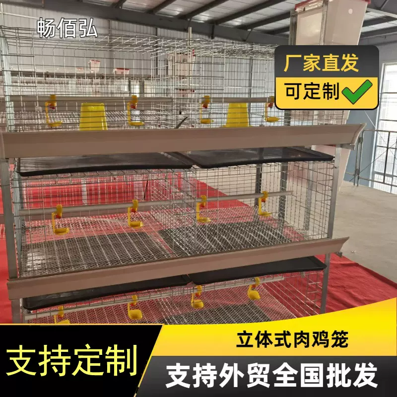 肉鸡笼立体层叠式摆放多组规格的生产厂家热镀锌自动化养殖设备