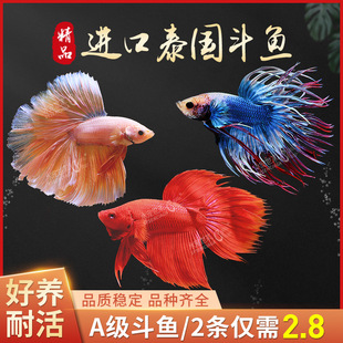 ̩�����~�����Rβ���w�Ꭷ�^�p�~�{����܊����ǹ�ĸҹ�Д[���W�t