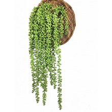 W 68510 Artificial String Of Pearls ����������羳��ó
