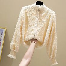 韩国蕾丝衬衣女秋冬新款洋气小衫立领加绒加厚打底衫内搭雪纺上衣