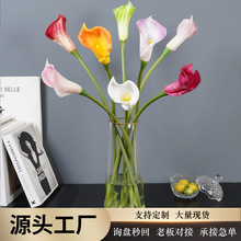 PU迷你大号马蹄莲 单支PU仿真花家居玄关装饰长支马蹄莲酒店民宿