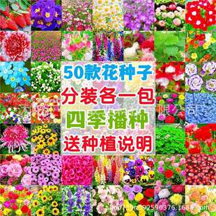 ���羳��̹�؛�����ܷN�� �ļ��N�ӝM����̫ꖻ���˹�հ��ղ���