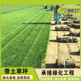 遮阳网;土工布;大棚网