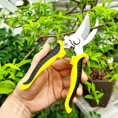Multi-purpose pruning shears for gardening, landscaping, and orchards—ideal for trimming branches, cutting fruit-bearing twigs, and neatly shaping potted plants or harvesting fruits from the garden.