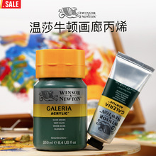 明华 温莎牛顿画廊丙烯颜料墙绘手绘画DIY防水纺织60ml 250ml丙烯