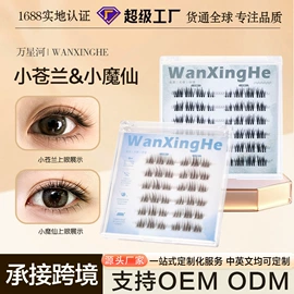 假睫毛;假睫毛镊子
