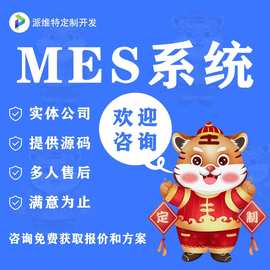 MES软件生产信息化管理系统开发制造企业制造执行系统开发