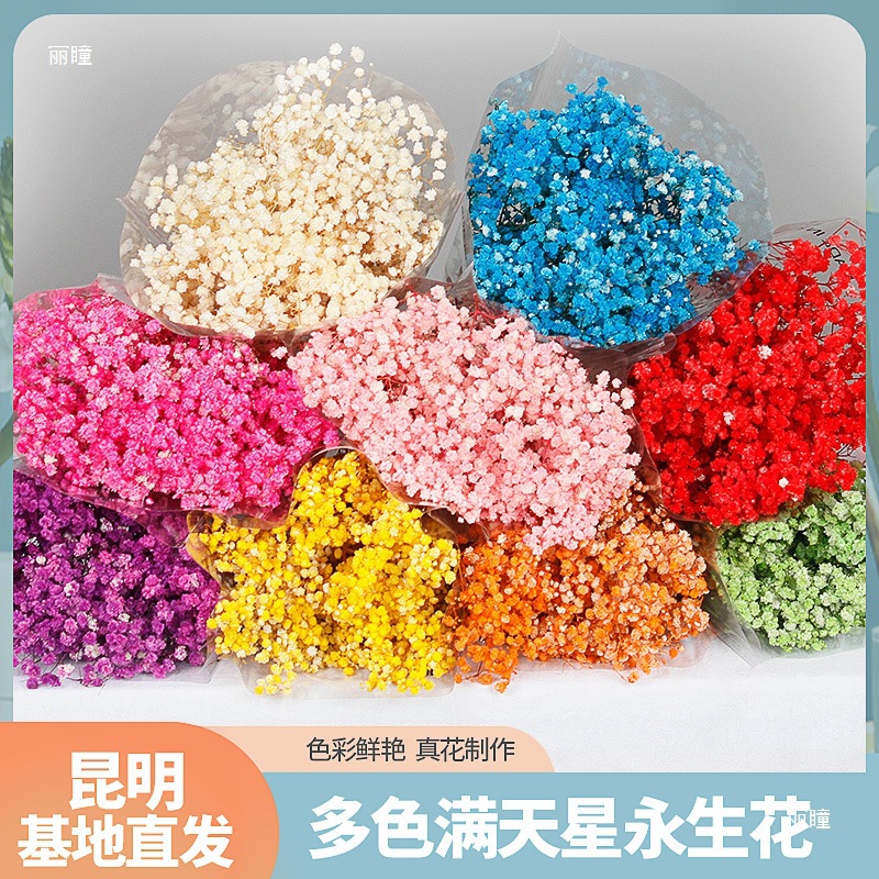 永生花满天星 工厂直供干花120g满天星干花云南基地批发干花花束