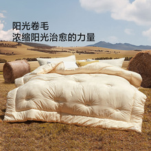 ˮ�ǼҼ������M����ë������100%�d��ë��ů����60֧ȫ���ļ���