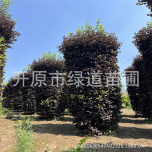 �������~�������Ӆ������~����^���|�����~����С����ƿ