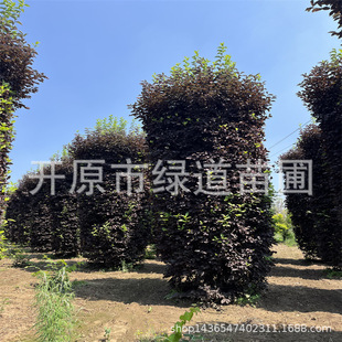 �������~�������Ӆ������~����^���|�����~����С����ƿ