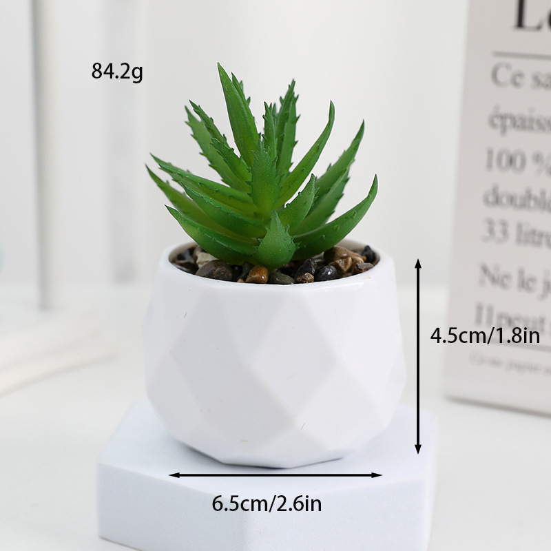 Diamante-Aloe de boca afilada