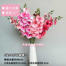9ͷ������3D��ӡ�߼��л����ÿ������ذڼ�����ٻ����滨����