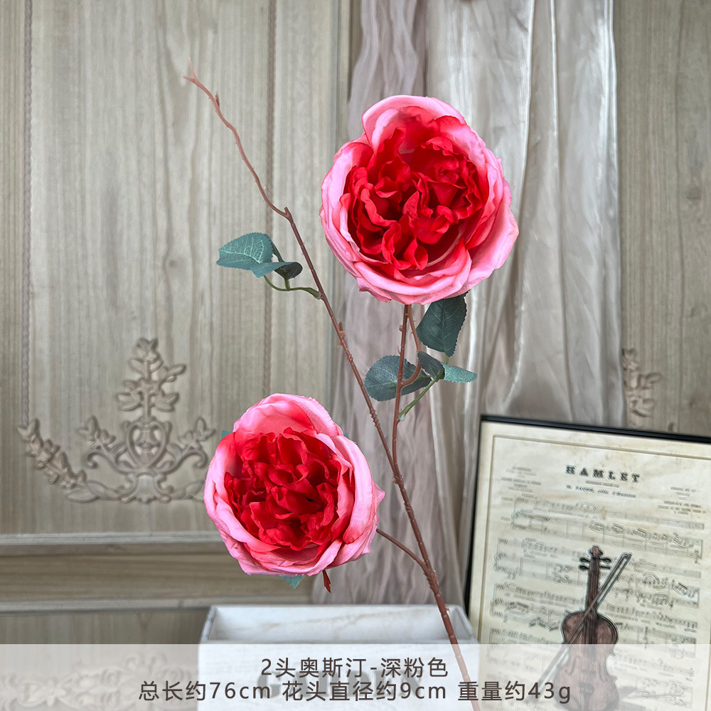 TY-2 หัวออสติน - สีชมพูเข้ม
