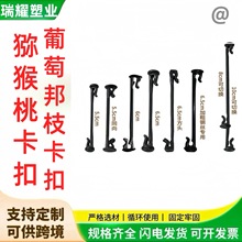 @ٿ۫Jҽ֦{ݮ֦lϒhNֲ@ˇ辰