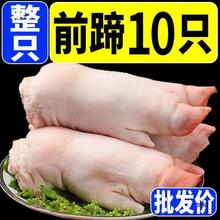 现杀新鲜整只带筋土猪蹄农家散养猪蹄子猪手前蹄香猪跨境