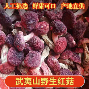 �t����؛��؛��������ɽ��ɽ�t���{�׼tĢ��������؛���ӹ�