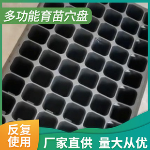 Ѩ�P����P�����߲˷N�ӿظ����Nֲ�бP����ѿ��ˠI�B��������Ѩ