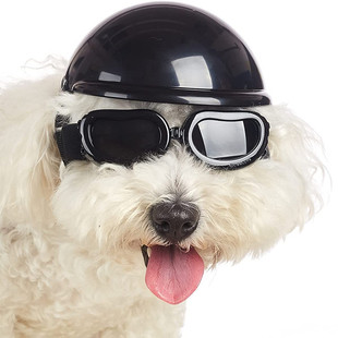 E-Commerce Hot Cat Helmet Pet Dog Motorcycle Safety Hat Method Dou Teddy Small and Medium Dog Cool Headwear