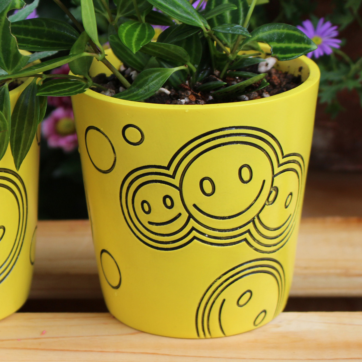 Hot Selling Simple Yellow Smiley Round Flower Pot with Drain Outfall Desktop Fleshy Potted Plant Fleshy Green Plant Flower Pot