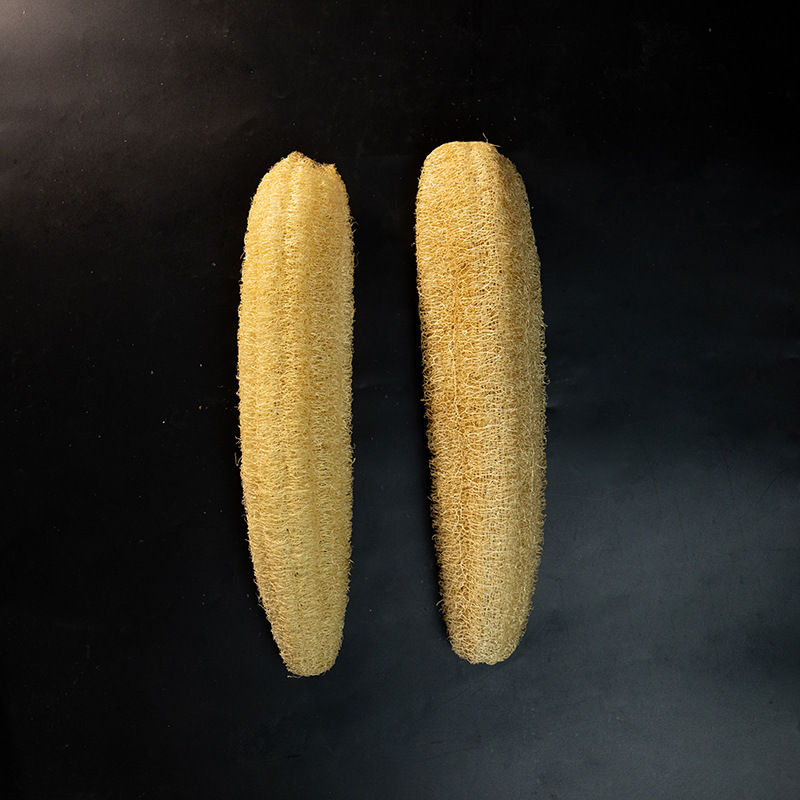 전체 뿌리 35-40cm