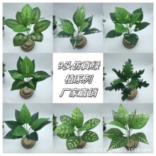 �҃��bGɫֲ� ����ާ�ֲ��9�^�^�z�~�G�}�S��ֱ�N�������