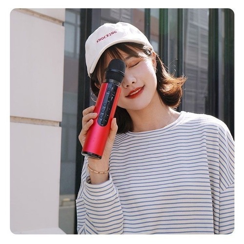 M6 Bluetooth microphone microphone audio integrated karaoke singing artifact karaoke singing microphone wholesale