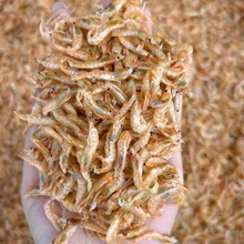 虾干水晶虾 麦秆虾 地摊电商批发纯干淡干小河虾高品质虾仁麦干虾