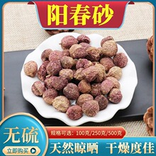 阳春砂仁500g克中药材阳春砂香料正宗阳春砂砂仁蜜砂仁春砂仁包邮