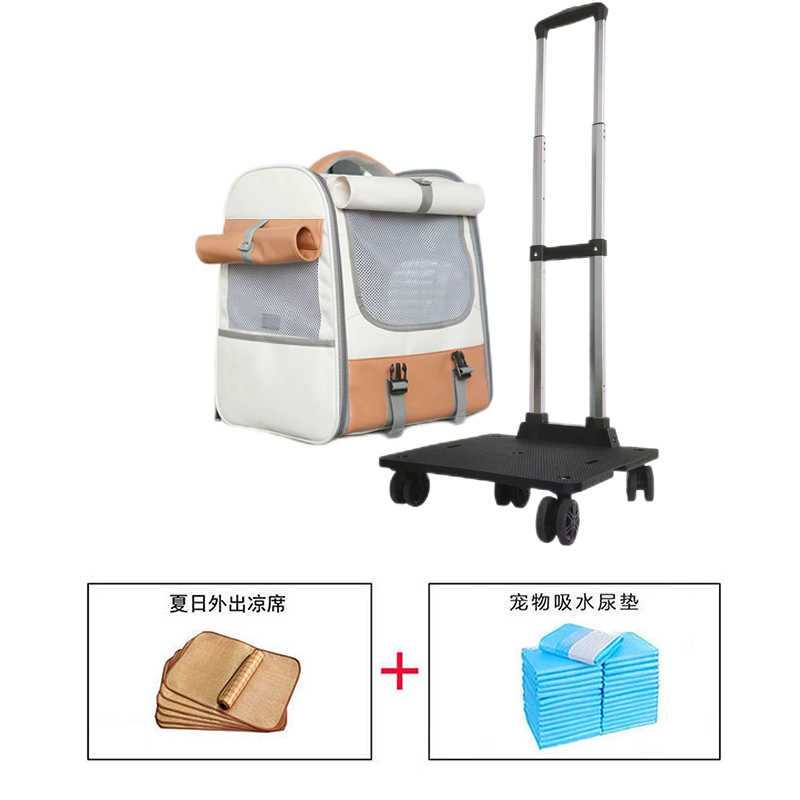 Suitcase to go out, capacious backpack