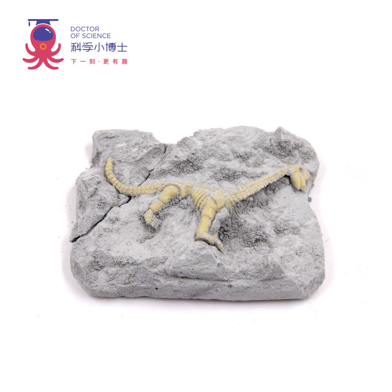 Ciencia pequeño experimento al por mayor vapor Escuela Primaria estudiante juguetes educativos ciencia y educación material hecho a mano paquete DIY Tecnología pequeña producción