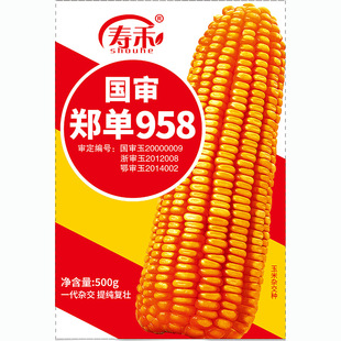 �߮a����958�s�����׷N��������ϷN���ļ������ݴ�ȫ��Ʒ�����N