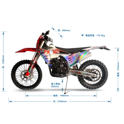 Professional, Motosikletlər