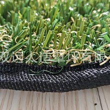 �����ƺ����|���˹���ƺ���Q����ݑ������e�����������ݲ�Ƥ