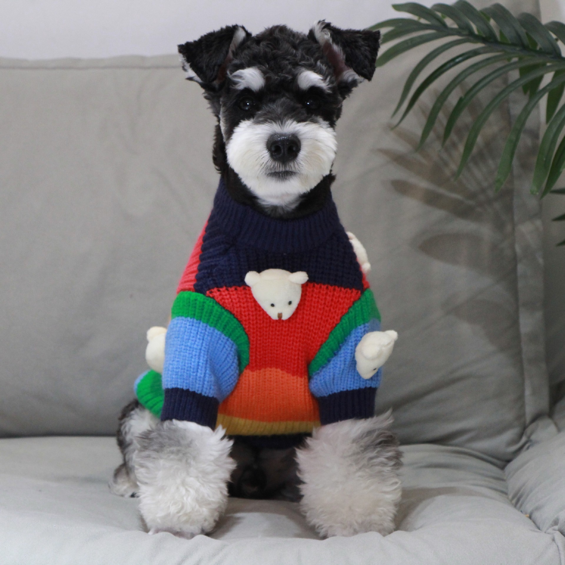 개 옷 겨울 따뜻한 FADOU SCHANERY BEARS 테디 차이 개 웨스트 하이랜드 애완 동물 스웨터 레인보우 니트