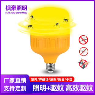 ��ß�LED���ß��ݑ�����B�u���Bֳ���S����ø��o�����ݟ����S