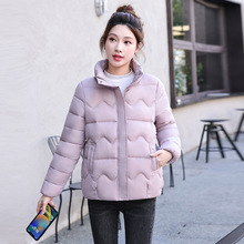 СӶ̿޷Ů2025¿rаٴpgů\bl