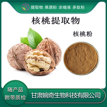 核桃提取物10:1 核桃肽98%  核桃仁提取物 核桃粉 桃仁提取物现货