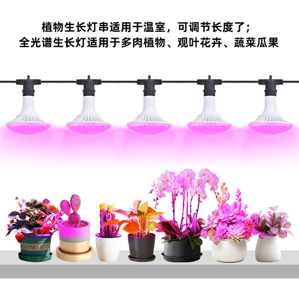 LED fill light
