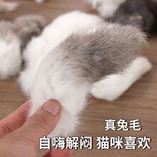 ؈���S�ݚ�ζ�������Ȼ�ɫ��β�Ͷ�؈���������˽␞�dȤ����