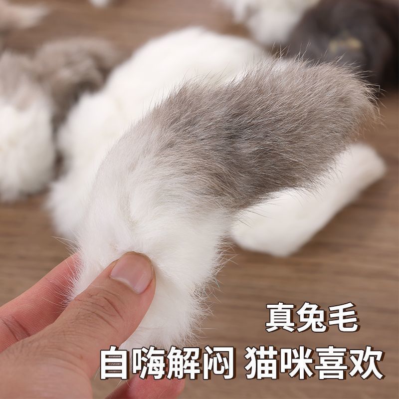 猫咪丰容气味玩具真天然颜色兔尾巴逗猫神器闻嗅自嗨解闷兴趣耐玩