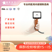 2024�B���t������ҕƷ��YS-IS ��ҕ���R��ͯ���������ÏS��ֱ�l