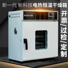 電熱恆溫鼓風干燥箱高溫小型工業烤箱醫用烘干機改大燈實驗室烘箱