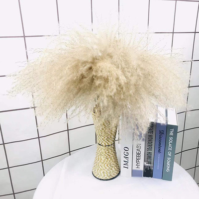 天然新款芦苇永生花束橱窗装饰摆件拂尘花麦穗干花婚庆道具包邮