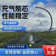 25缸锌合金高性能机芯充气泵简易车载轮胎打气泵泵芯便携汽车配件