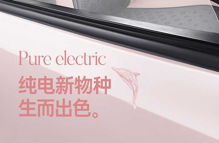 BYD Dolphin Smart Driving Edition Special Car Seat Cover, All-Season Universal Full-Coverage Cushion, Rams Seat Cover